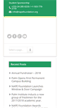 Mobile Screenshot of napefoundation.org